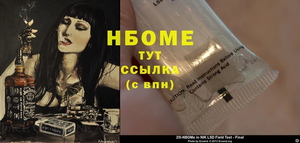 индика Белокуриха