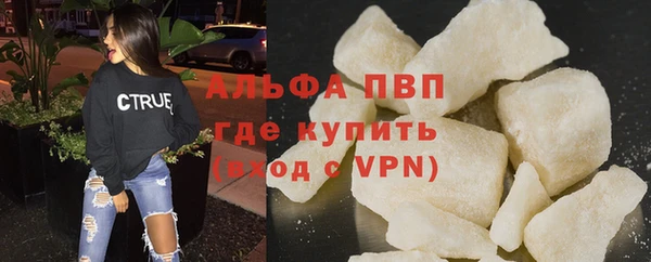 индика Белокуриха