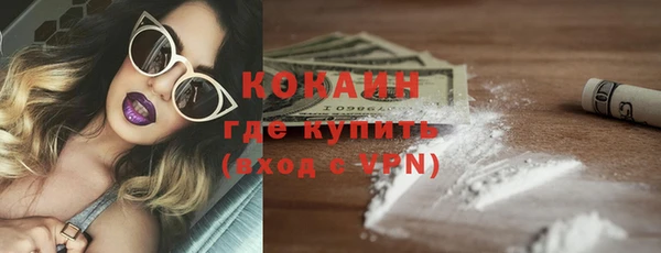 индика Белокуриха
