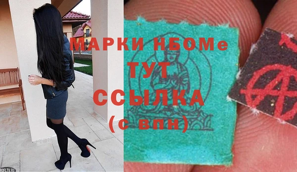 индика Белокуриха