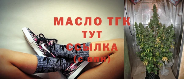 индика Белокуриха