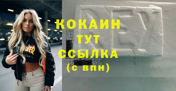 индика Белокуриха