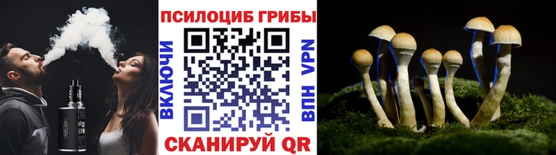 Галлюциногенные грибы мицелий  купить  цена  Кохма 